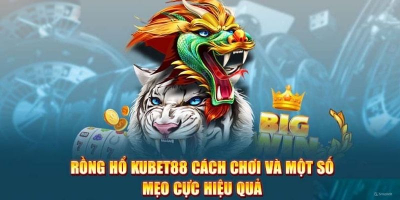 Kinh nghiệm bất bại khi tham gia Kubet88 game Rồng Hổ