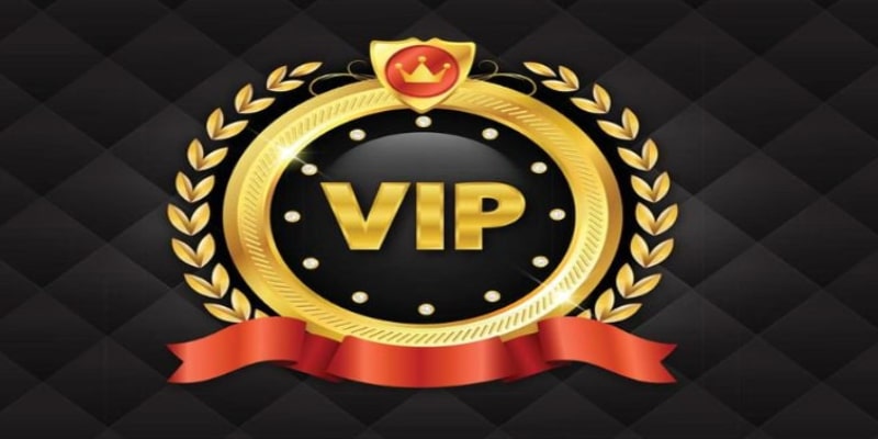 Có thể nhiều người chưa biết đến lợi ích độc quyền của VIP 8KBET 